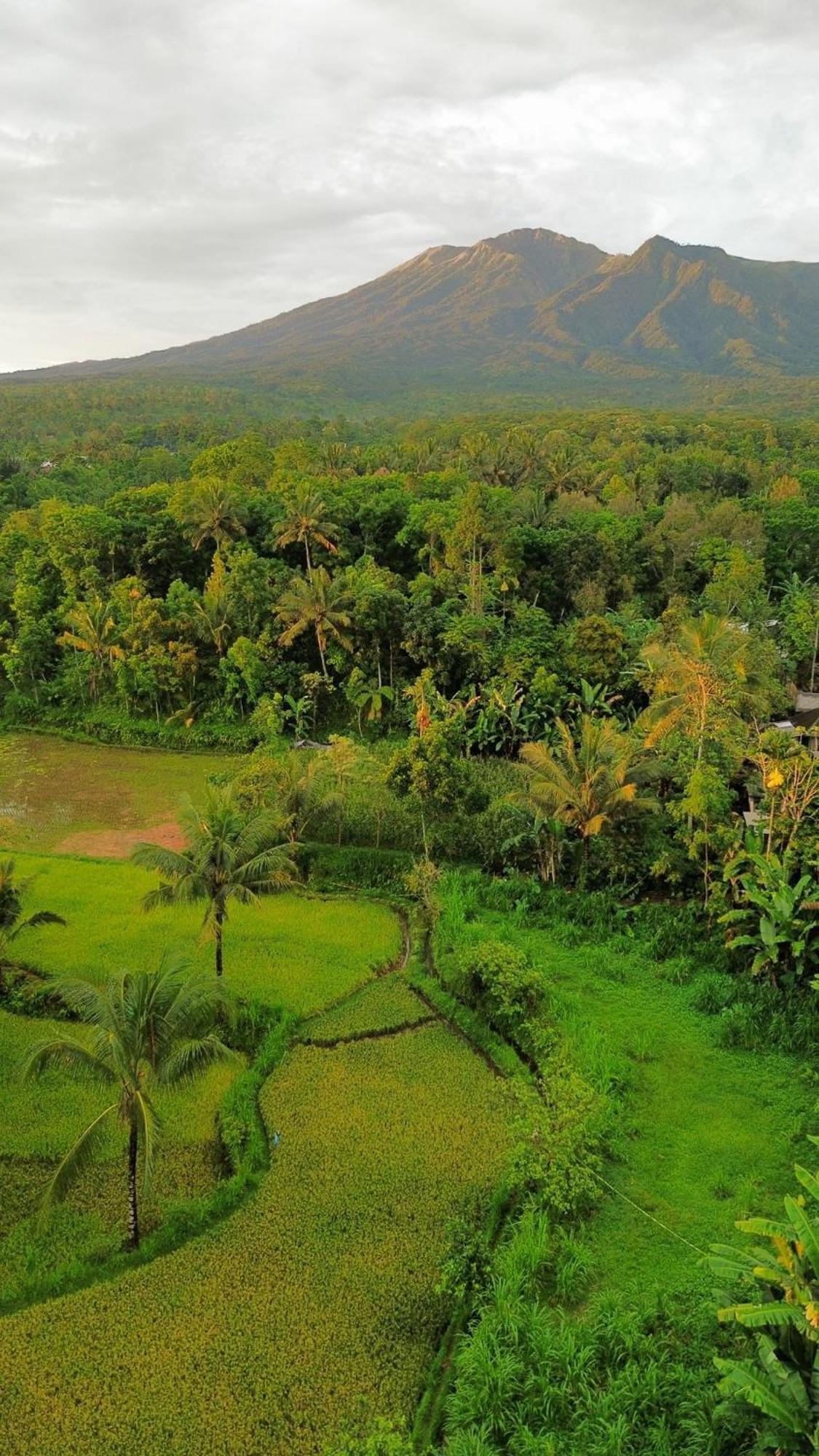 Tetebatu Indah Homestay Zewnętrze zdjęcie
