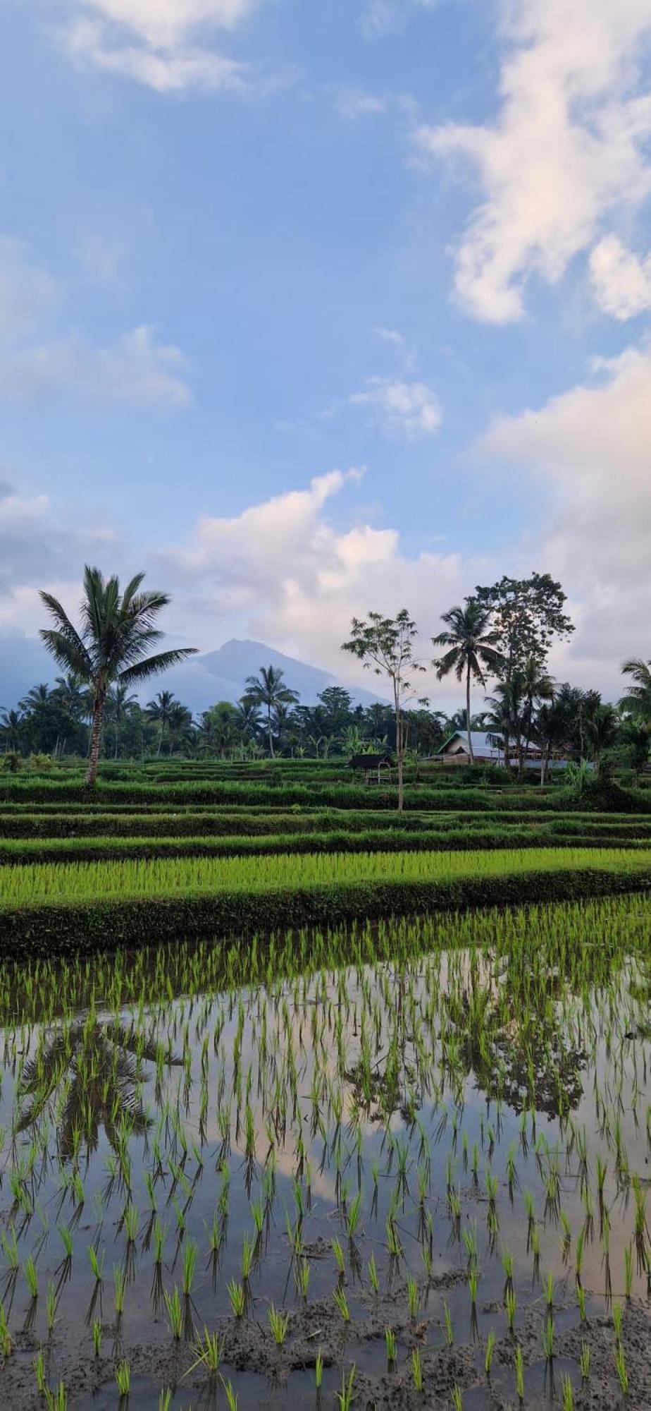 Tetebatu Indah Homestay Zewnętrze zdjęcie