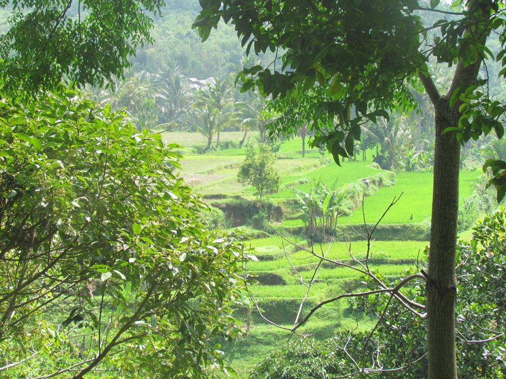 Tetebatu Indah Homestay Zewnętrze zdjęcie