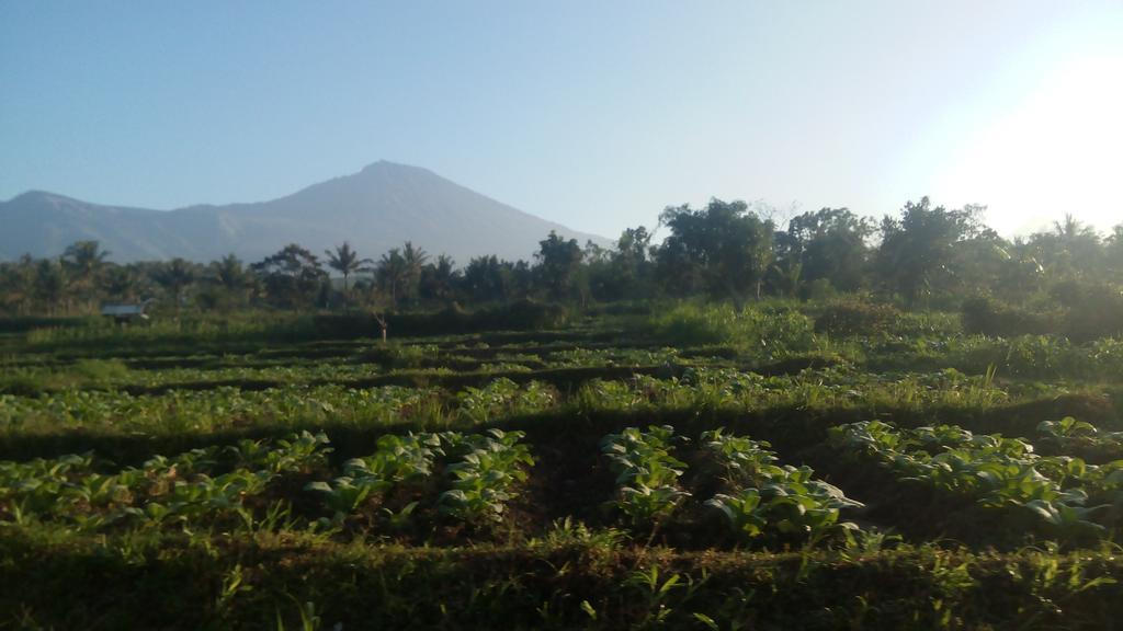 Tetebatu Indah Homestay Zewnętrze zdjęcie