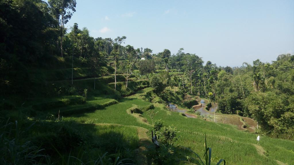 Tetebatu Indah Homestay Zewnętrze zdjęcie