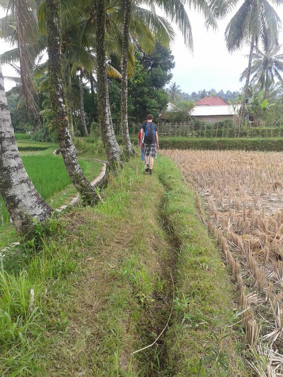 Tetebatu Indah Homestay Zewnętrze zdjęcie